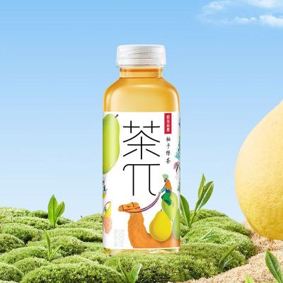 农夫山泉茶派（柚子绿茶）500ml*15瓶