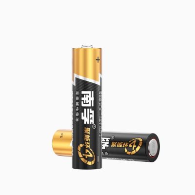南孚电池5号