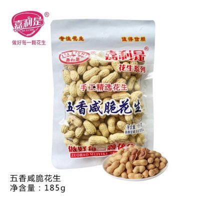 嘉利是花生（五香咸干）185g
